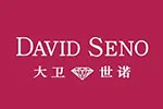 DAVID SENO大卫世诺