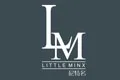 LITTLE MINX尼特名
