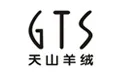 GTS
