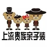 上流贵族upper nobilitry