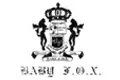 BABY FOX诱狐