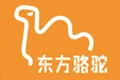 东方骆驼