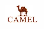 骆驼(CAMEL)
