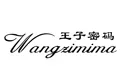 wangzimima王子密码